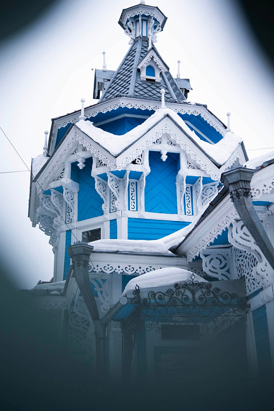 Описание изображения